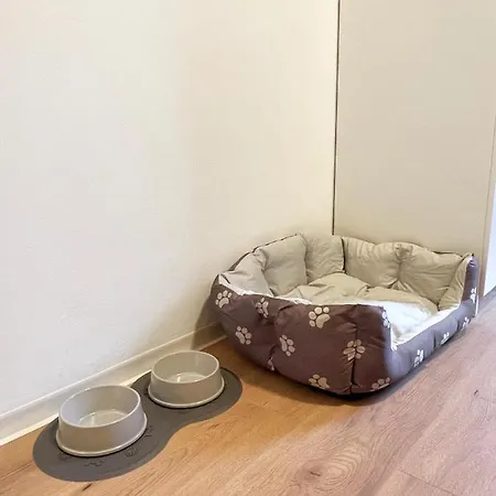 Apartament Moderne In
