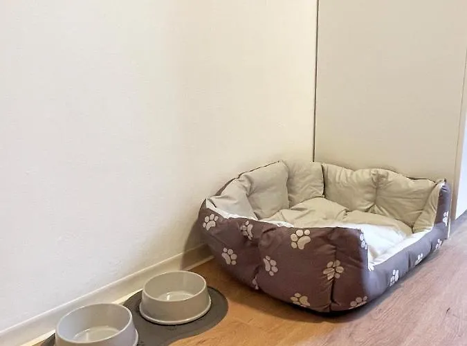 Apartment Moderne In